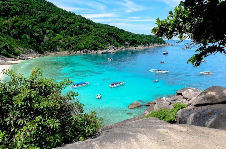 Beautiful turquoise sea near forest